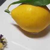 Chez Scott - Restaurant - Traiteur