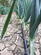 agriturismo Biancospino