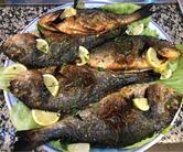 Don Pizza Chez Ferrara