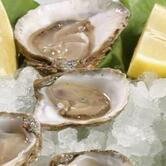 Ittiturismo Casa Marola