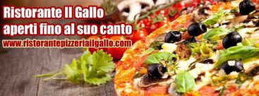Ristorante Pizzeria Il Gallo