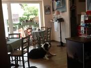 La Censa di Angioletta