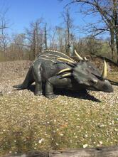 Bar Del Parco Della Preistoria