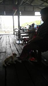 ร้านชารี