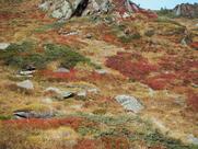 Bergrestaurant Hermetje