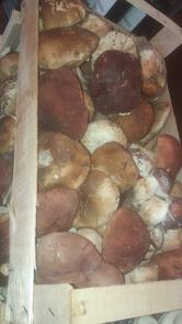 On the road - steak house- ristorante