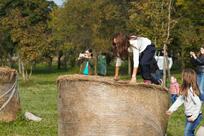 Agriturismo Biologico La Buona Terra