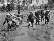 L'Armistizio di Salasco - Vc