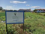 Il Profumo della Freschezza