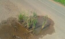 Restaurante Teixeira