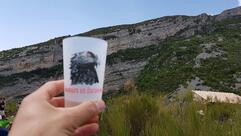 La Forge - Bistrot - Sahune