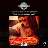 Chicago House Pizzaria e Hamburgueria