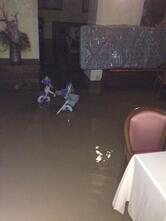 Albergo Ristorante FLORA