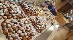 Gelateria Casagrande