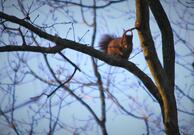 Brasserie en Cafe Het Spiekertje