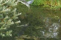 Restaurant du Pervou