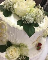 Camellia Bar Pasticceria