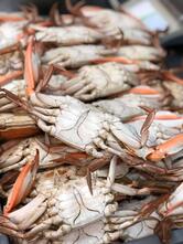 Slidell Seafood