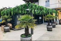 CDS (Café des sports)