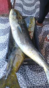 Restaurante Valle do Peixe