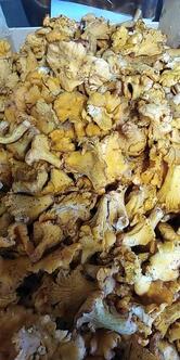 Bar Trattoria Penne Nere