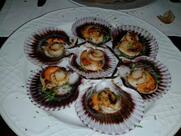 Il gattopardo Zürich