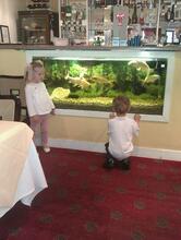 Canton Cuisine Larkhall