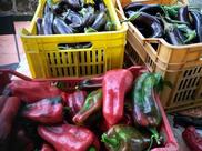 Agriturismo La Nuova Peschiera