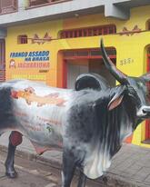 Espetinho Grill Ipatinga MG