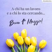 Il Frantoio