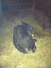 Agriturismo San Michele