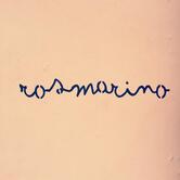 Rosmarino Generi Vari