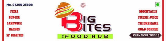 Big Bites The Food Hub,Bardoli