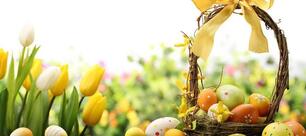 Trattoria Da Antonio