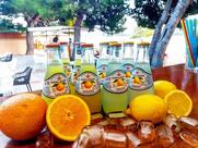 Vanilla beach&grill bar