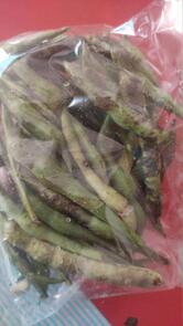 North East Food Court