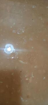 Assim Assados Marcal