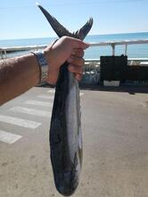 Il muraglione da aziz