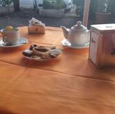 IQOS RESELLER - Bar Tabacchi Buoncristiani, Roma