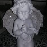 Impariamo a cucinare