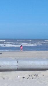 Quiosque Ponto 10 - Pingo