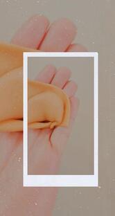 Ristorante Bar Del Cavallino