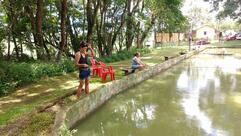 Pesqueiro Fish Dance