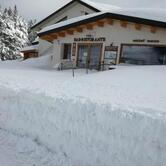 Rifugio Mickey mouse