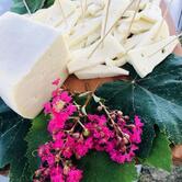 Osteria Enoteca Cuntitt