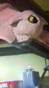 Restaurante Cheiro Verde