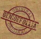 Pizzeria per asporto "D'Alessio" - SPINEA