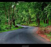 Golden kuruva Holiday Home