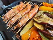 Terra Nova Gastronomia