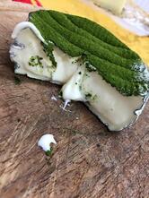 L'Osteria del Tarassaco